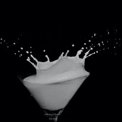 Splash